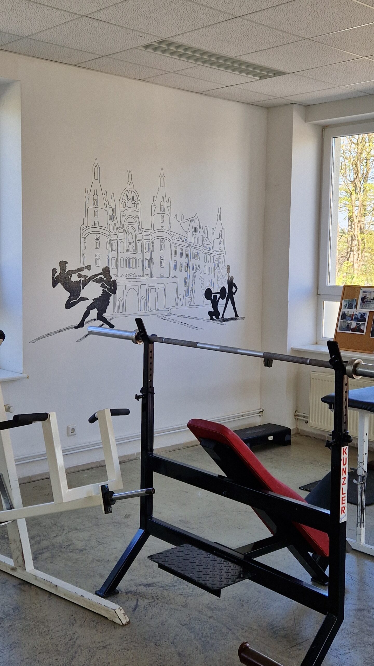 Kraftsport Trainingsstätte 4 Andreas Weidhofer