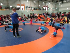 Ringen Petermaennchen Pokal C Psv Schwerin